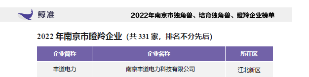 2022年南京丰道电力科技有限公司连续三年被认定为市瞪羚企业！